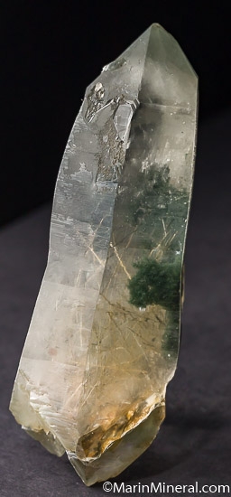 Actinolite, Chlorite in Quartz from Plumas Co., California, USA [db_pics/pics/J697b.jpg]