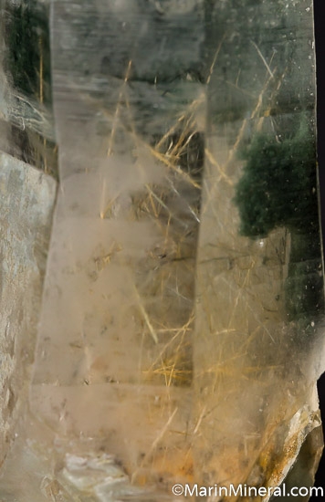 Actinolite, Chlorite in Quartz from Plumas Co., California, USA [db_pics/pics/J697c.jpg]