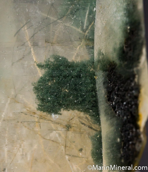 Actinolite, Chlorite in Quartz from Plumas Co., California, USA [db_pics/pics/J697d.jpg]