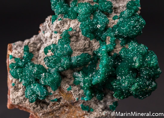 Dioptase from Mindouli District, Brazzaville, Congo [db_pics/pics/J764e.jpg]