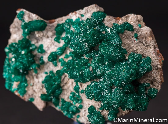 Dioptase from Mindouli District, Brazzaville, Congo [db_pics/pics/J767b.jpg]
