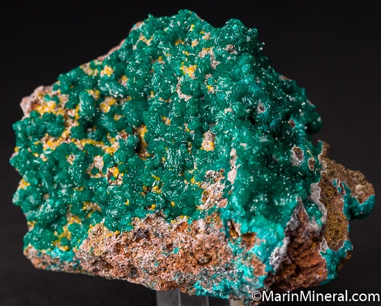 Dioptase with Wulfenite from Mindouli District, Brazzaville, Congo [db_pics/pics/J768b.jpg]