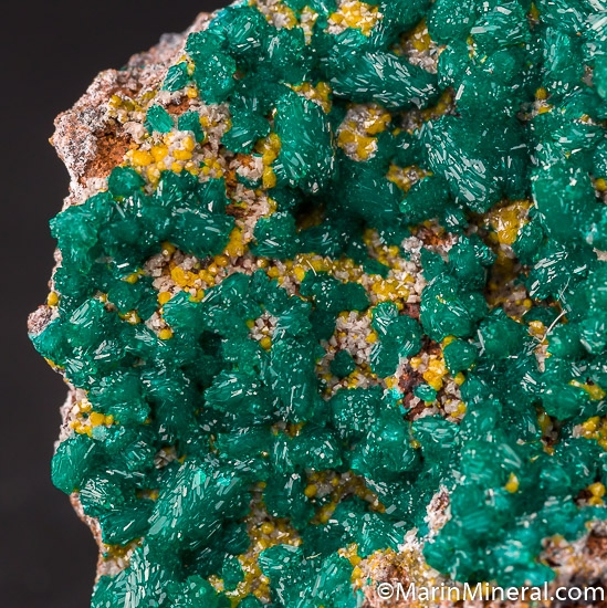 Dioptase with Wulfenite from Mindouli District, Brazzaville, Congo [db_pics/pics/J768e.jpg]