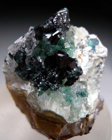 Clinoatacamite from Lily Mine, Ica Department, Peru [db_pics/pics/J775a.jpg]