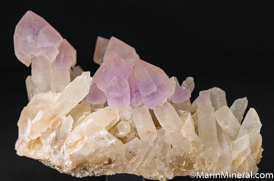 Amethyst scepters from Washington Camp, Santa Cruz Co., Arizona, USA [db_pics/pics/J897a.jpg]