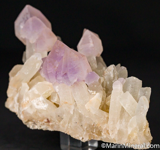 Amethyst scepters from Washington Camp, Santa Cruz Co., Arizona, USA [db_pics/pics/J897b.jpg]