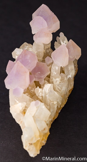 Amethyst scepters from Washington Camp, Santa Cruz Co., Arizona, USA [db_pics/pics/J897d.jpg]