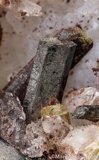 Apatite with Augite from Cerro de Mercado, Durango, Mexico [db_pics/pics/J902f.jpg]