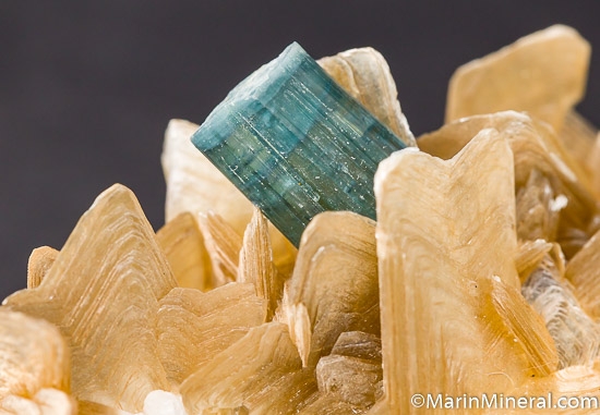 Indicolite on Star Mica from Itinga, Minas Gerais, Brazil [db_pics/pics/J985c.jpg]