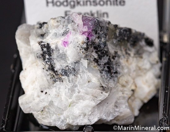 Lot of 7 Thumbnails from various [db_pics/pics/K256d.jpg]