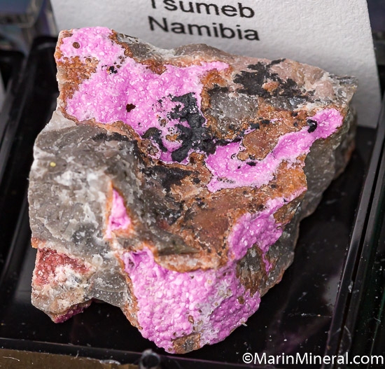 Lot of 7 Thumbnails from various [db_pics/pics/K256g.jpg]