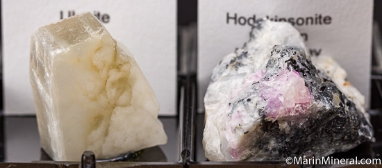 Lot of 7 Thumbnails from various [db_pics/pics/K257c.jpg]