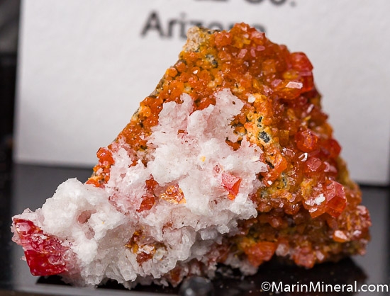 Lot of 7 Thumbnails from various [db_pics/pics/K257g.jpg]