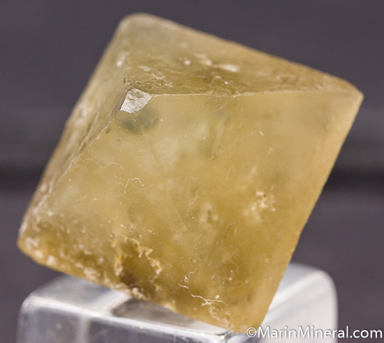 Sulfohalite from Searles Lake, California [db_pics/pics/K269b.jpg]