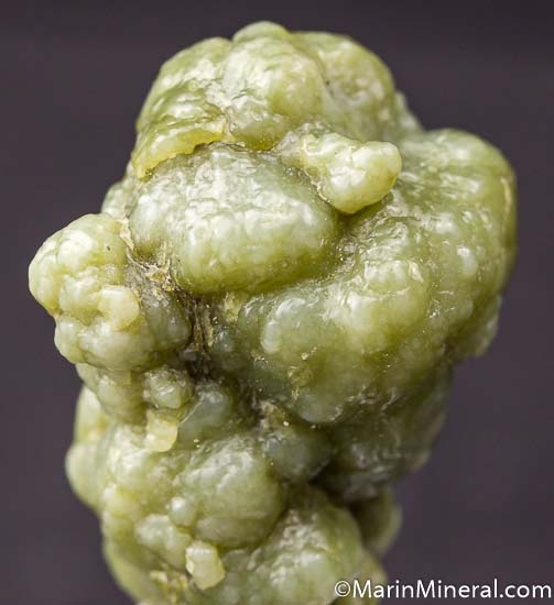 Nephrite var. Botryoidal Jade from Monterey Co., California, USA [db_pics/pics/K273d.jpg]