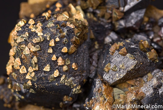 Chalcopyrite on Sphalerite from Baxter Springs, Picher Field, Tri-State District, Cherokee Co., Kansas, USA [db_pics/pics/K292c.jpg]