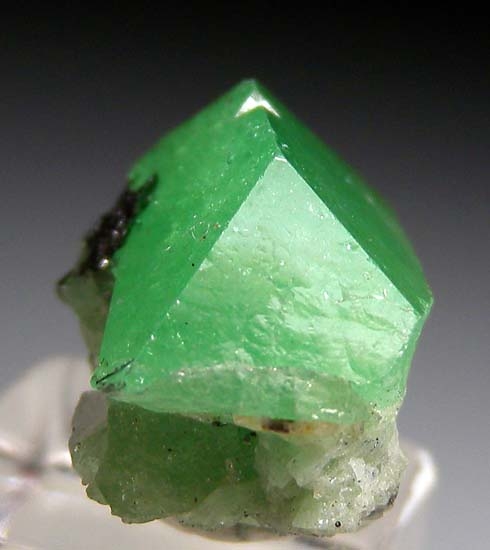 Tsavorite from Merelani Hills, Arusha, Tanzania [db_pics/pics/K351b.jpg]