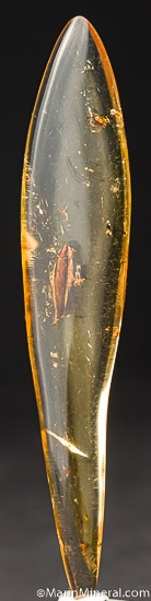 Insects in Copal from Nosy Varika, Vatovavy-Fitovinany Region, Madagascar [db_pics/pics/K492b.jpg]