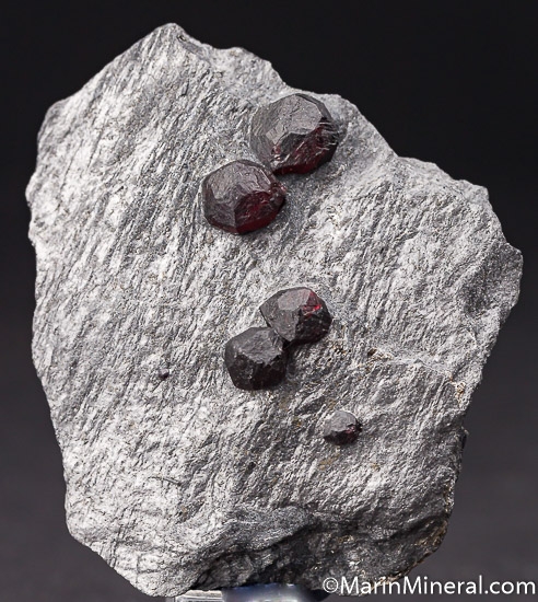 Garnet, Dravite in Graphite from Red Embers Mine, Erving, Massachusetts, USA [db_pics/pics/K504a.jpg]