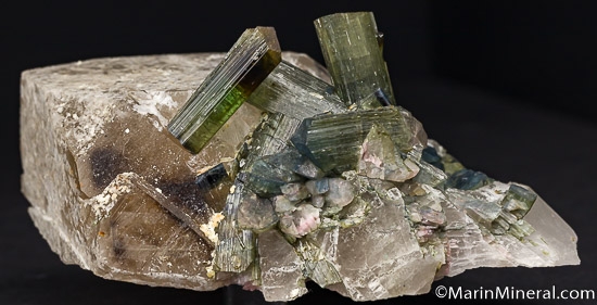 Tourmaline on Quartz from Pederniera Mine, SÃ£o JosÃ© da Safira, Minas Gerais, Brazil [db_pics/pics/K511a.jpg]