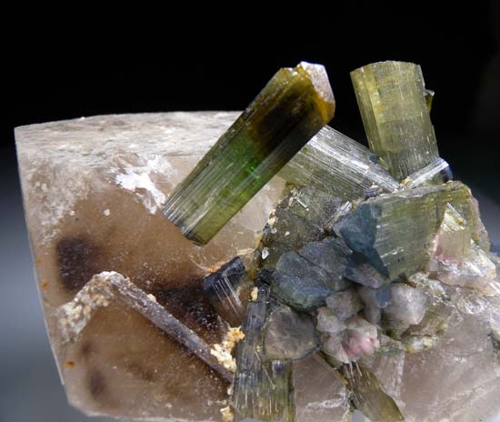 Tourmaline on Quartz from Pederniera Mine, SÃ£o JosÃ© da Safira, Minas Gerais, Brazil [db_pics/pics/K511b.jpg]