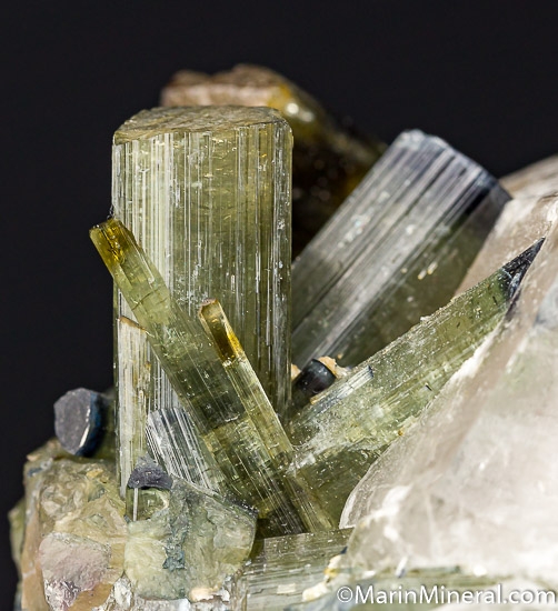 Tourmaline on Quartz from Pederniera Mine, SÃ£o JosÃ© da Safira, Minas Gerais, Brazil [db_pics/pics/K511d.jpg]