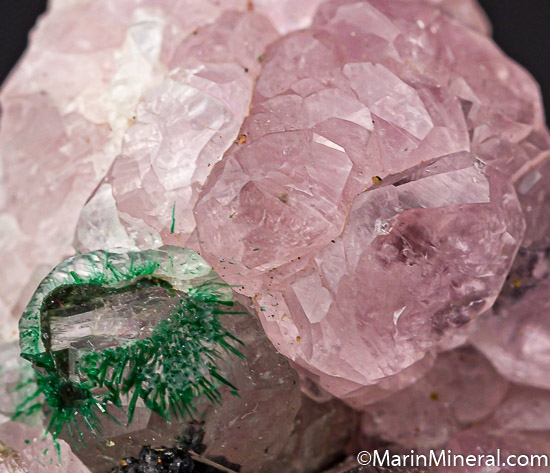Cobaltian Calcite with Malachite from Mashamba West Mine, Congo (DRC) [db_pics/pics/K647d.jpg]