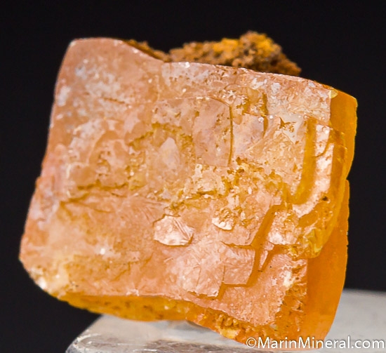 Wulfenite from Los Lamentos, Chihuahua, Mexico [db_pics/pics/K659b.jpg]