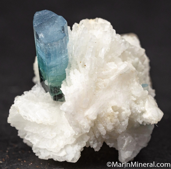 Indicolite on Albite with Quartz from Kunar Prov., Afghanistan [db_pics/pics/K700c.jpg]