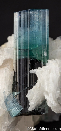 Indicolite on Albite with Quartz from Kunar Prov., Afghanistan [db_pics/pics/K700g.jpg]