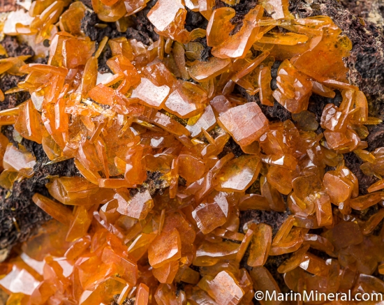 Wulfenite from Los Lamentos, Chihuahua, Mexico [db_pics/pics/K790d.jpg]