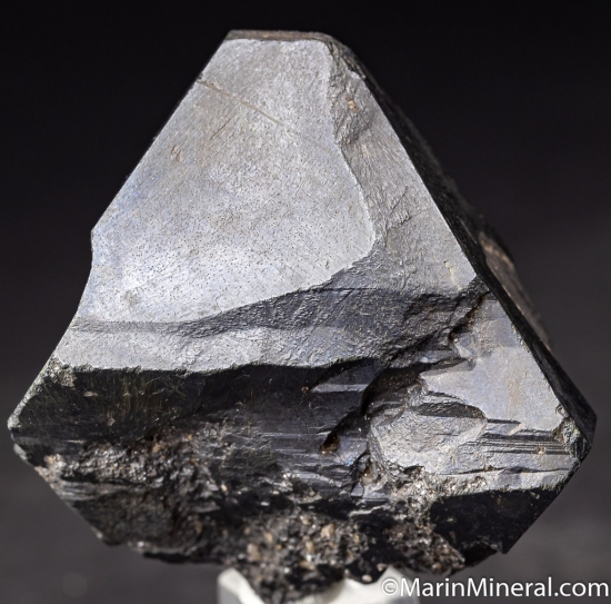 Alabandite with Tanzanite from Merelani Hills, Arusha, Tanzania [db_pics/pics/K791a.jpg]