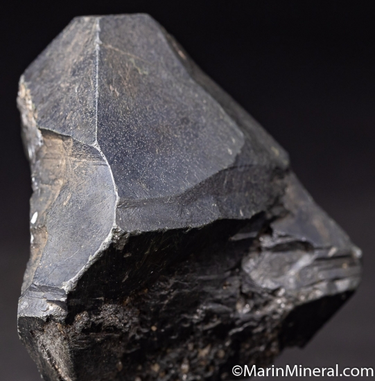 Alabandite with Tanzanite from Merelani Hills, Arusha, Tanzania [db_pics/pics/K791c.jpg]