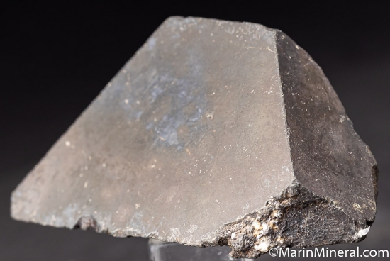 Alabandite from Merelani Hills, Arusha, Tanzania [db_pics/pics/K792b.jpg]