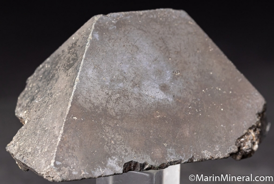 Alabandite from Merelani Hills, Arusha, Tanzania [db_pics/pics/K792c.jpg]