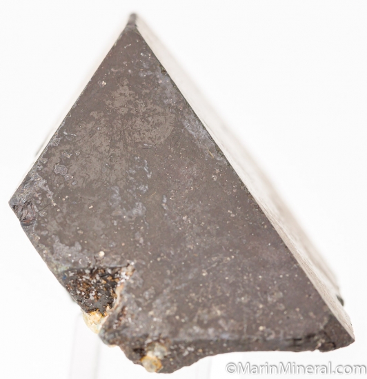 Alabandite from Merelani Hills, Arusha, Tanzania [db_pics/pics/K792ea.jpg]