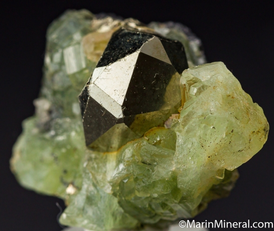 Pyrite on Prehnite from Merelani Hills, Arusha, Tanzania [db_pics/pics/K836b.jpg]