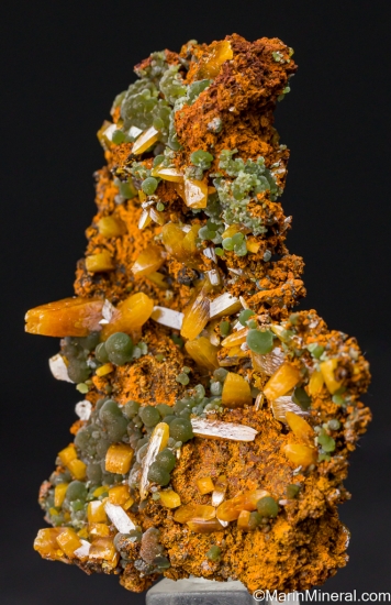 Wulfenite with Mimetite from Mina Oujela, Mapimi, Durango, Mexico [db_pics/pics/LL100b.jpg]