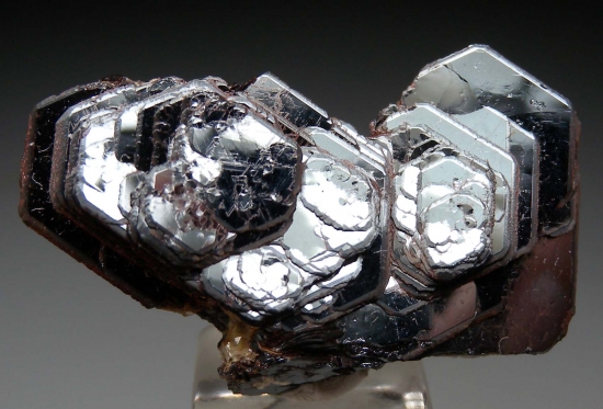 Hematite from Ouro Preto, Minas Gerais, Brazil [db_pics/pics/LL119b.jpg]