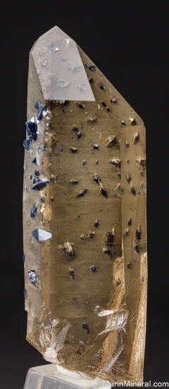 Anatase on Quartz from Hardangervidda, Hordaland, Norway [db_pics/pics/LL120a.jpg]