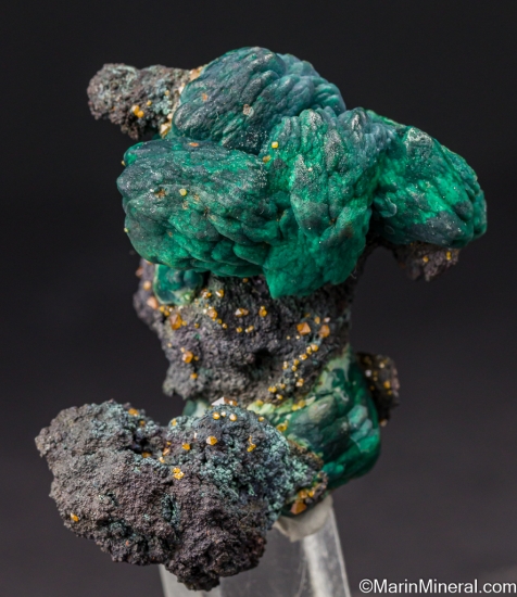 Wulfenite on Chrysocolla pseud. Malachite pseudo. Azurite from Whim Creek, Western Australia, Australia [db_pics/pics/LL124a.jpg]