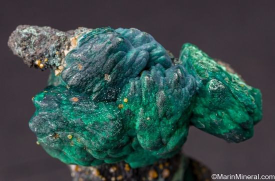 Wulfenite on Chrysocolla pseud. Malachite pseudo. Azurite from Whim Creek, Western Australia, Australia [db_pics/pics/LL124d.jpg]