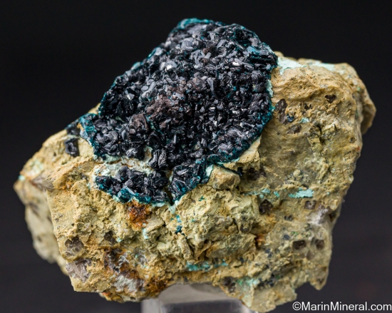 Clinoclase from Majuba Hill Mine, Pershing Co. Nevada, USA [db_pics/pics/LL131a.jpg]
