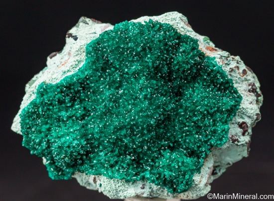 Dioptase from Morenci Mine, Greenlee Co. Arizona, USA [db_pics/pics/LL133a.jpg]