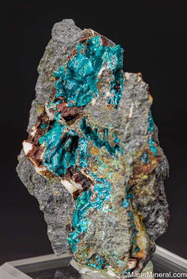 Caledonite from Reward Mine, Inyo Co., California, USA [db_pics/pics/LL135b.jpg]