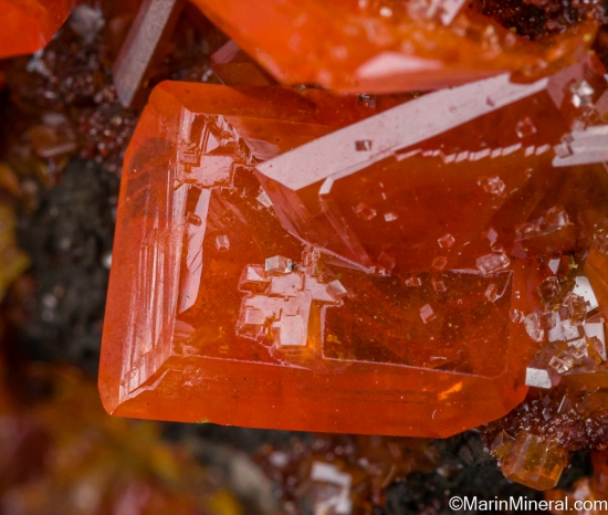 Wulfenite from Red Cloud Mine, La Paz Co., Arizona, USA [db_pics/pics/LL138d.jpg]