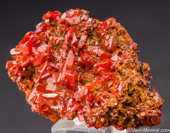 Crocoite from Berezovsk, Ural Mtns., Russia [db_pics/pics/LL139b.jpg]