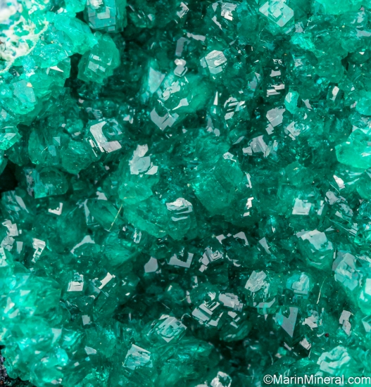 Dioptase from Ray Mine, Pinal Co., Arizona, USA [db_pics/pics/LL143c.jpg]