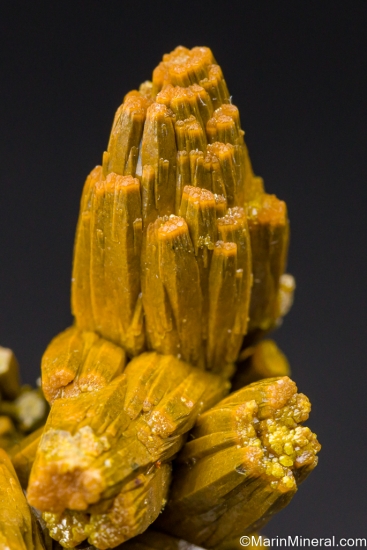 Pyromorphite from Les Farges Mine, Ussel, Ussel, CorrÃ¨ze, Nouvelle-Aquitaine, France [db_pics/pics/LL144f.jpg]