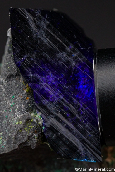 Azurite from Tsumeb, Namibia [db_pics/pics/LL148d.jpg]